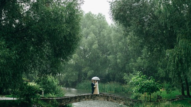 雨の日保証プラン