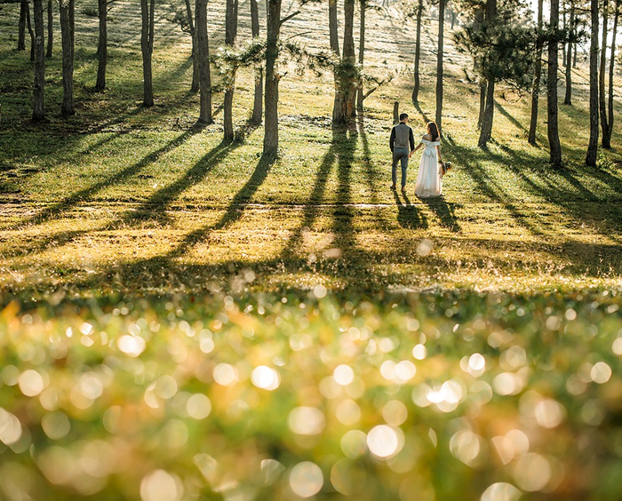 森の中を歩む新郎新婦の遠目からの画像