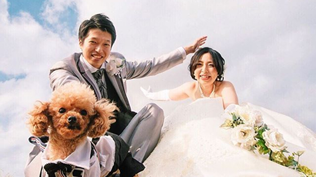 ペット同伴OKプラン